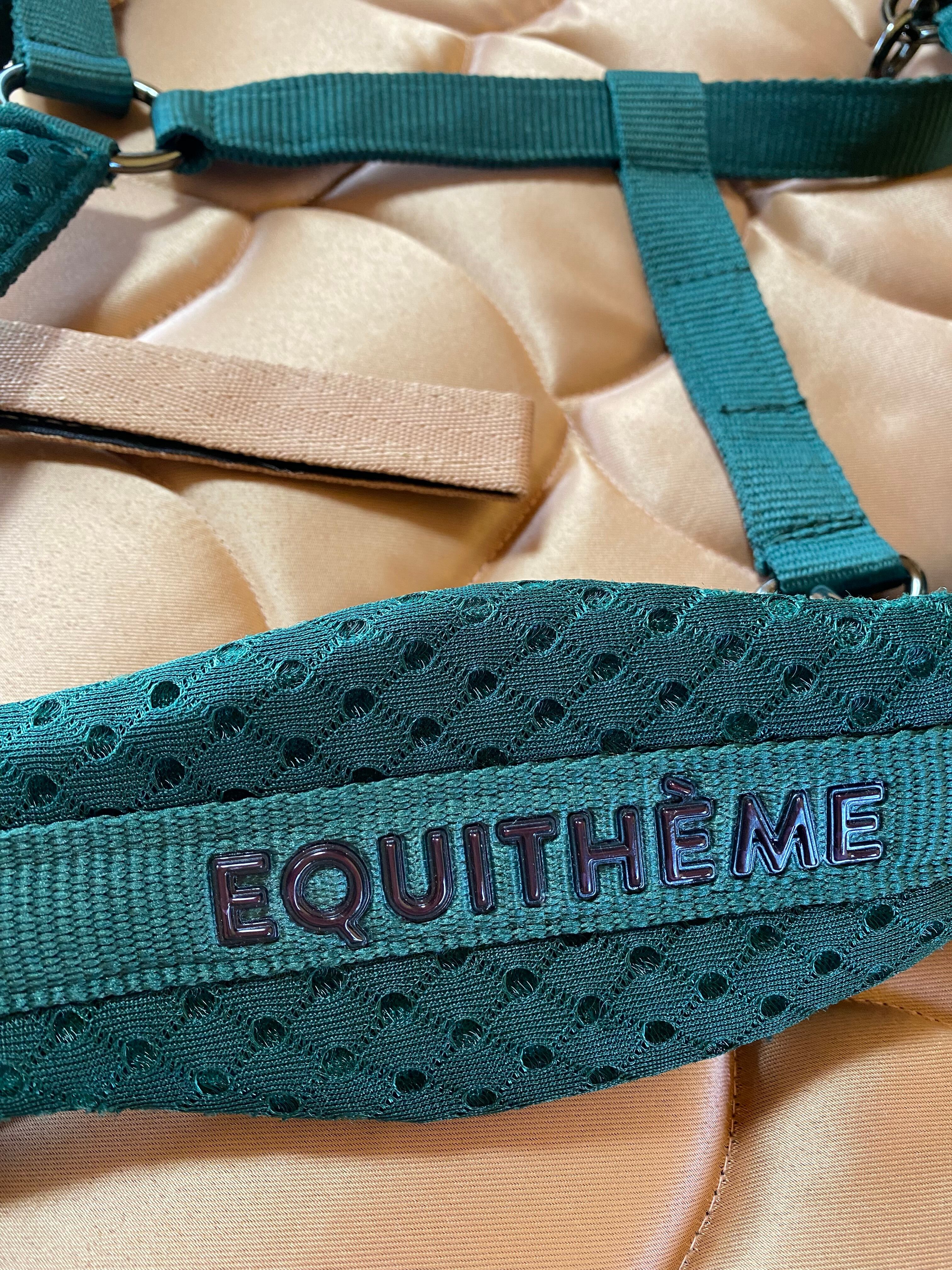 鮮やかなグリーン☘️