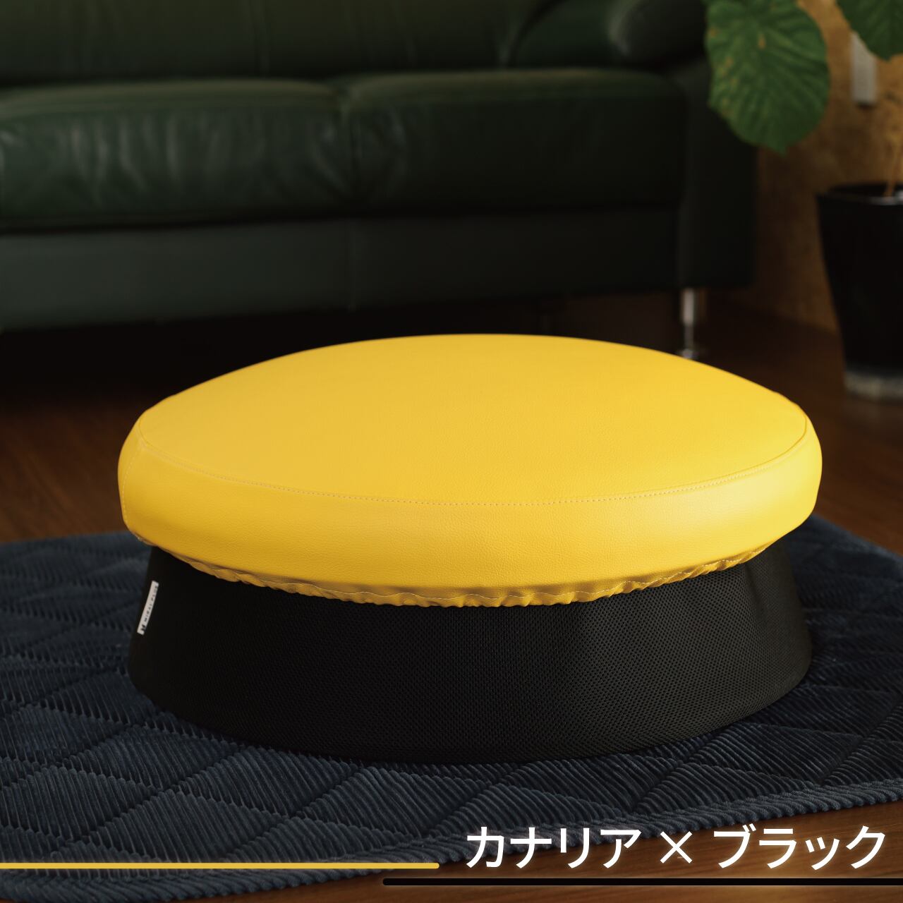 カナリア×ブラック