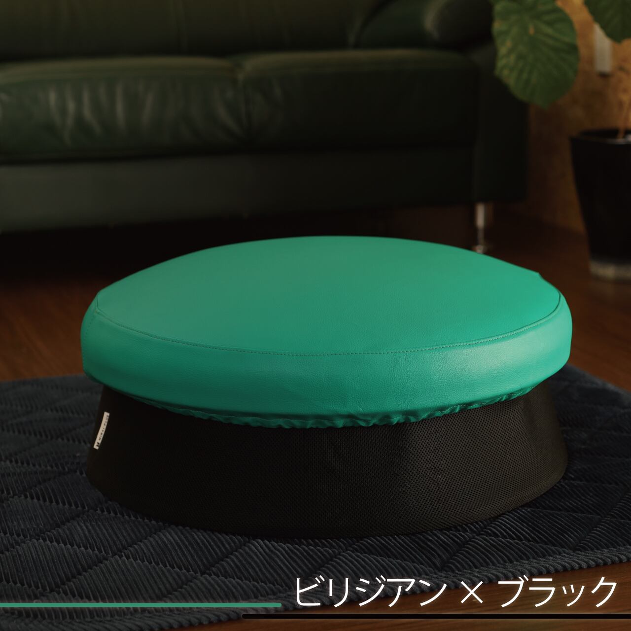 ビリジアン×ブラック