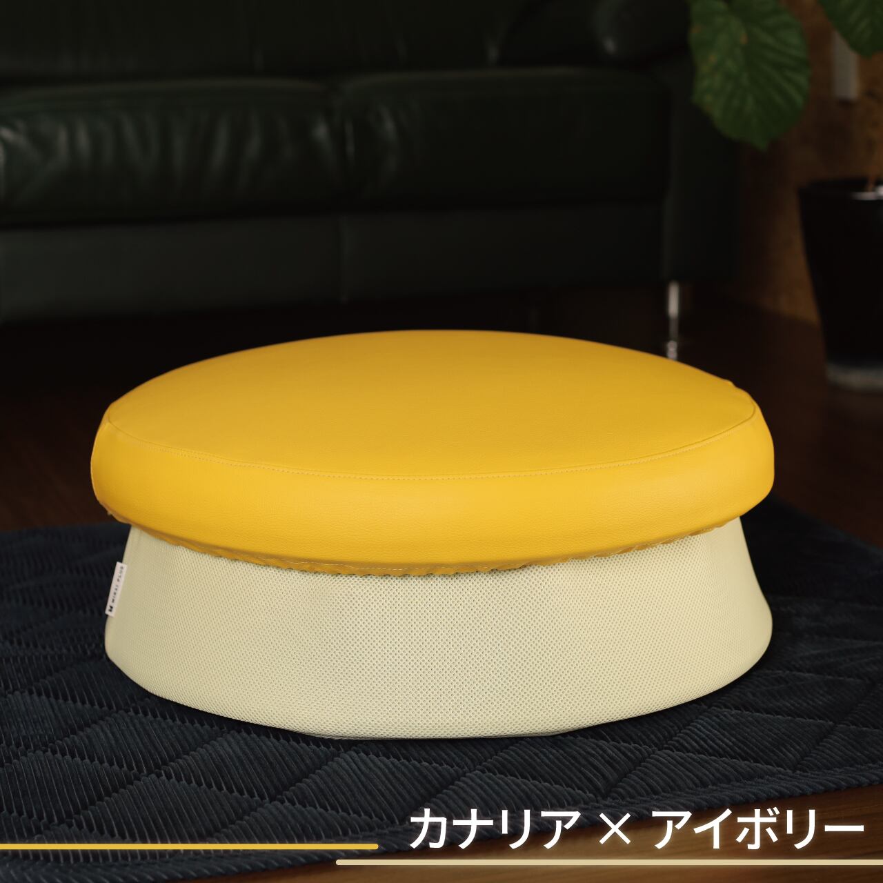 カナリア×アイボリー