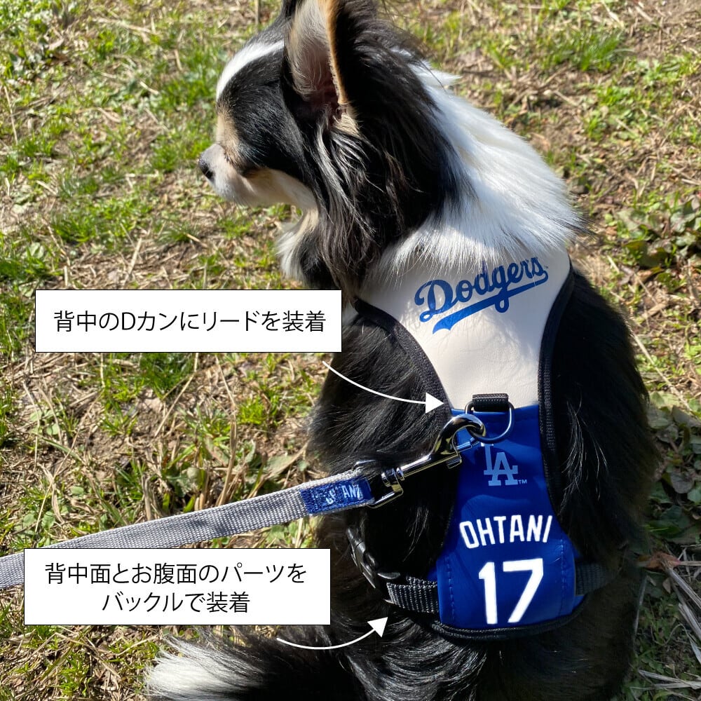 可愛い大谷翔平❤ドッグリード＆ハーネス❣️ 犬用ハーネス Sサイズ 大谷翔平モデル MLB公式 ドジャース 小型