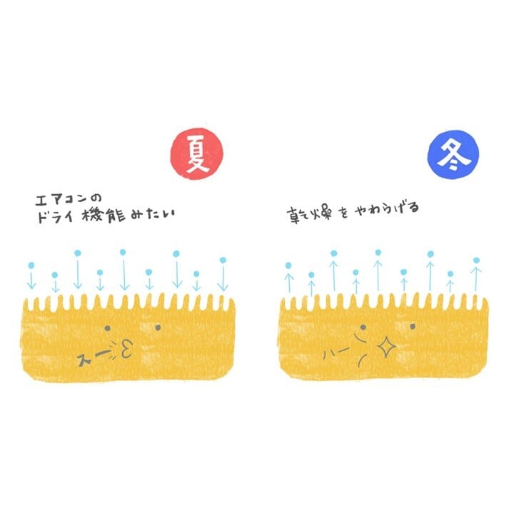 特徴① 湿気を吸ったり吐いたりする天然のウール