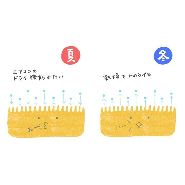 特徴① 湿気を吸ったり吐いたりする天然のウール