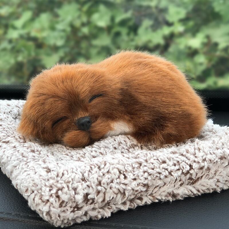 トイプードル