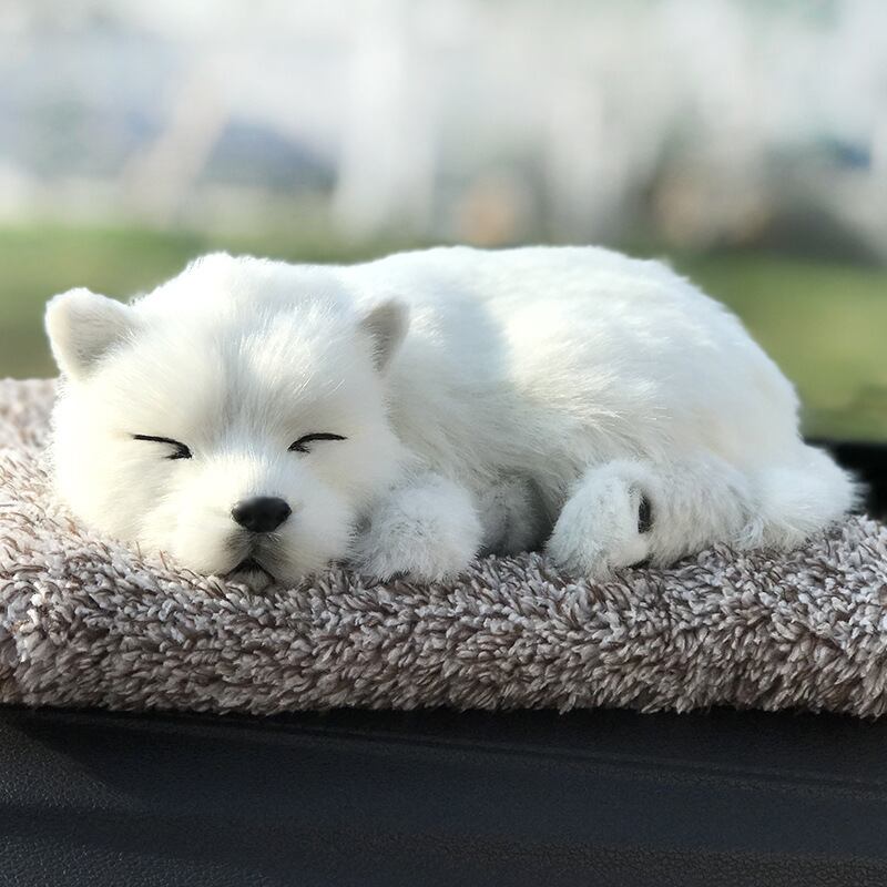 サモエド