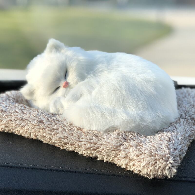 ホワイトキャット