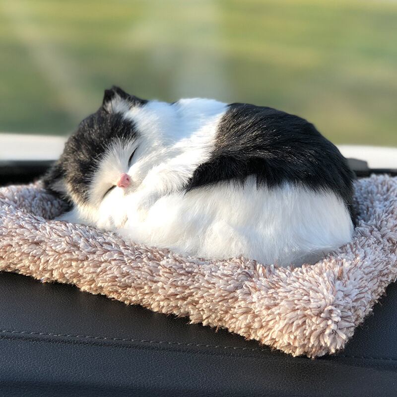 ミルクキャット