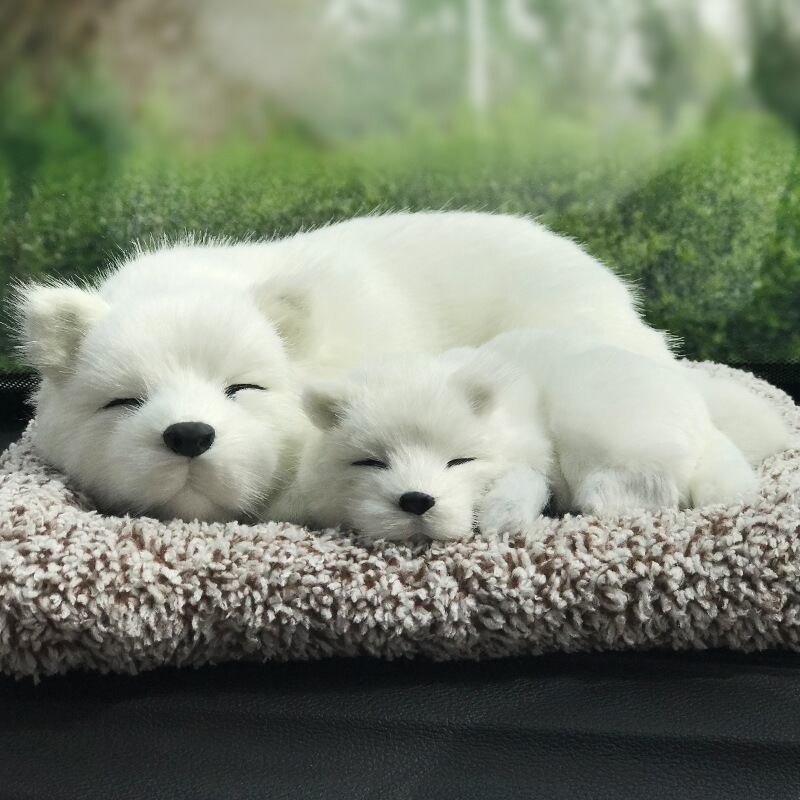 サモエド