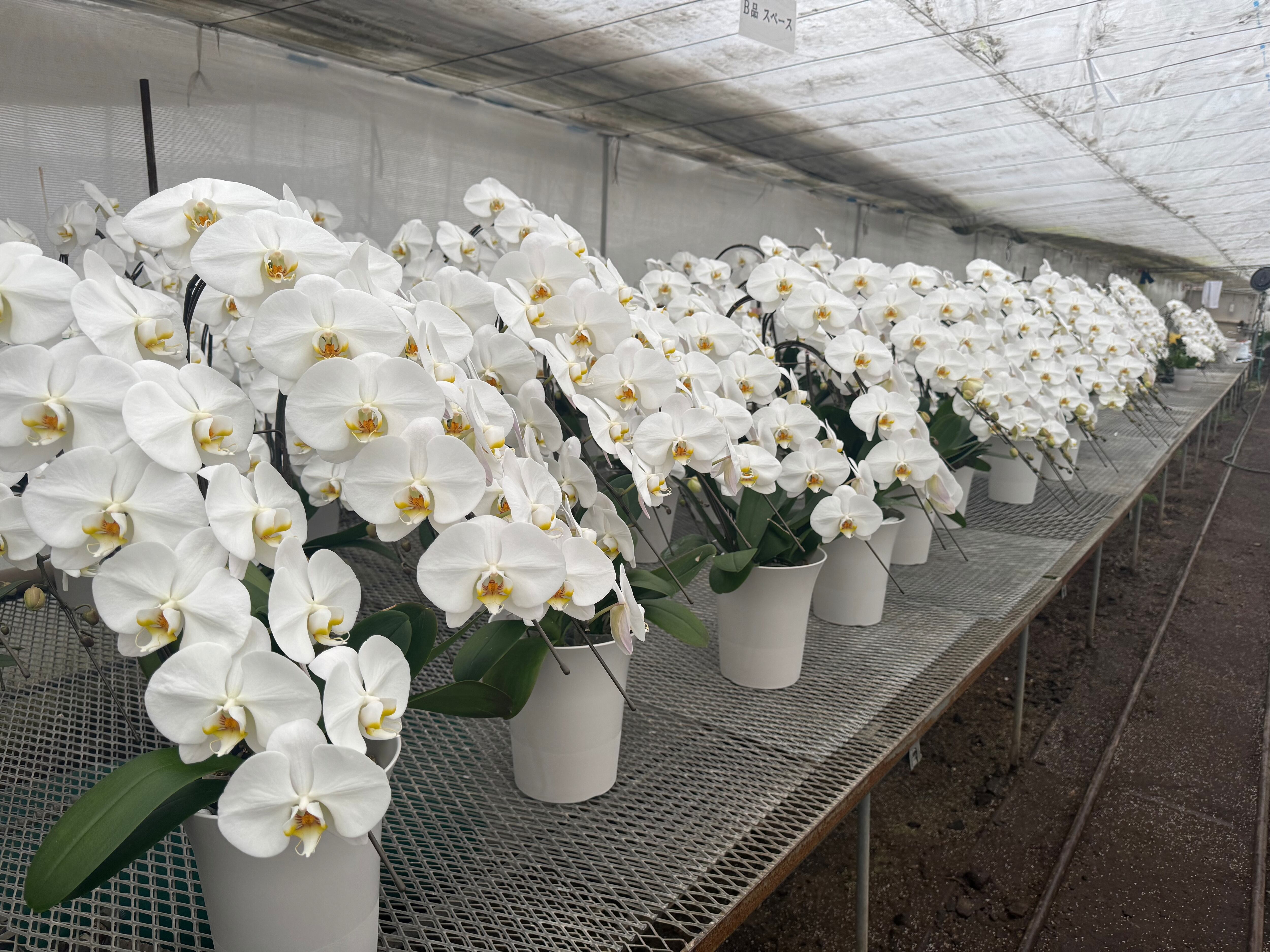 高額な費用をかけてしっかりと温度管理をされています