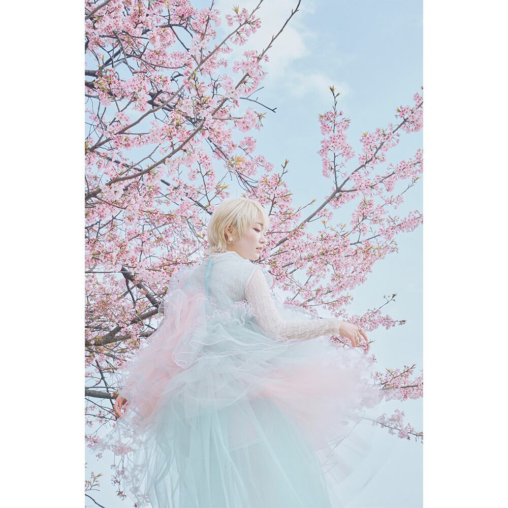 作例（P:中山 文 / M:柊里杏）