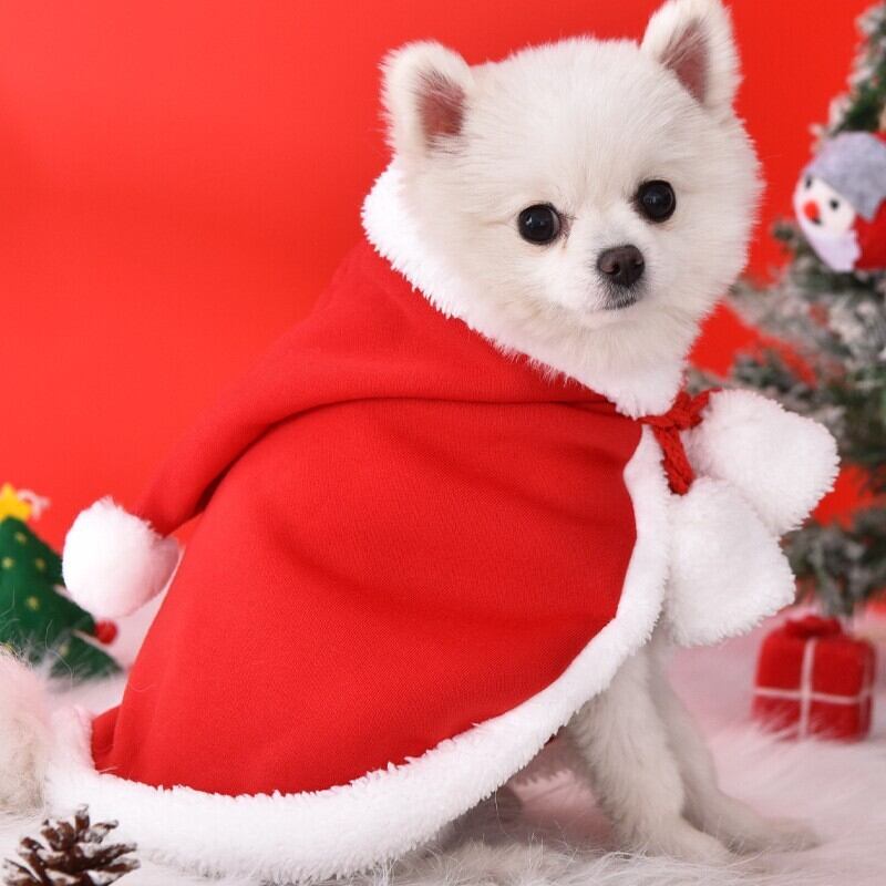 レッド