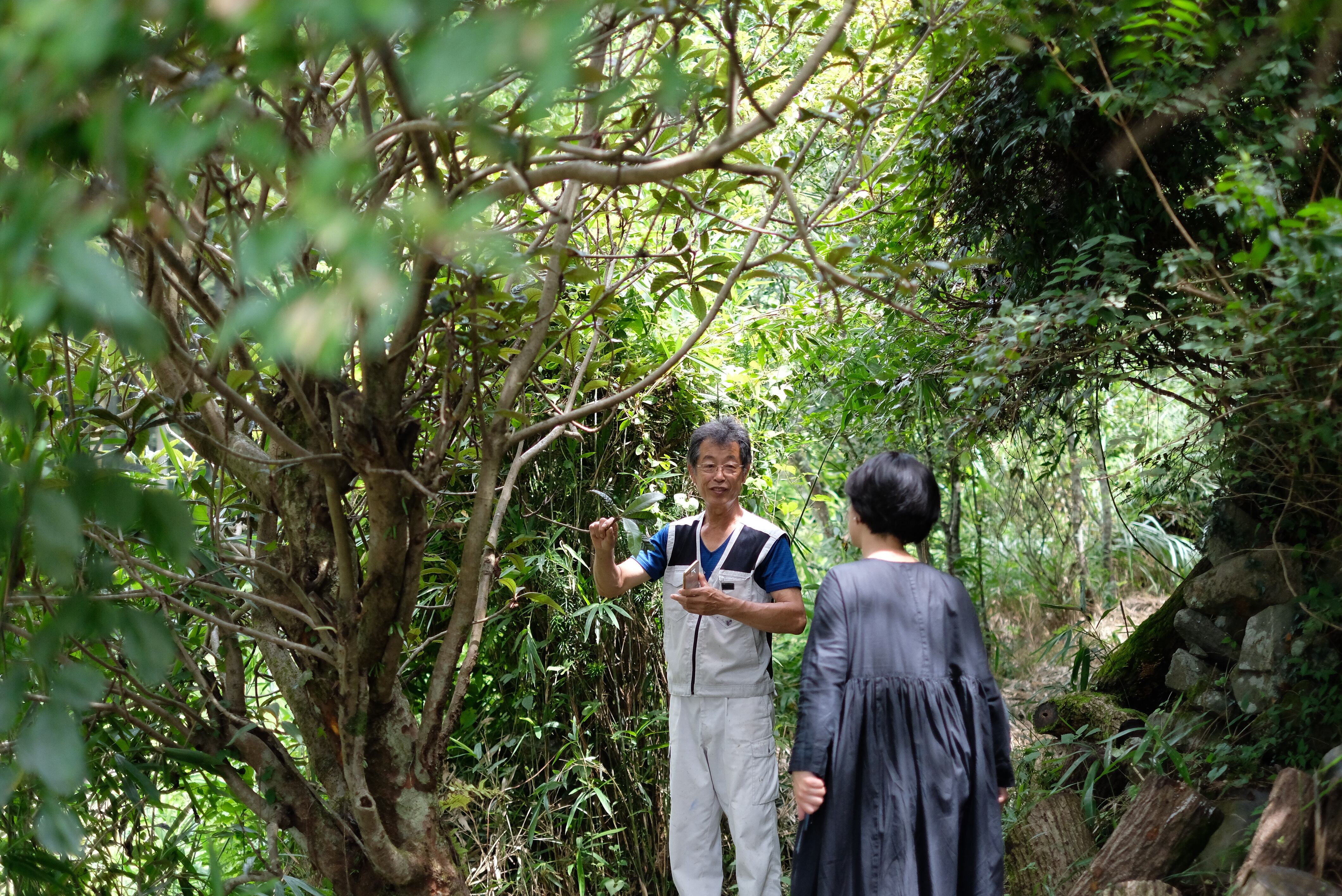 生産者の山口農園さん。