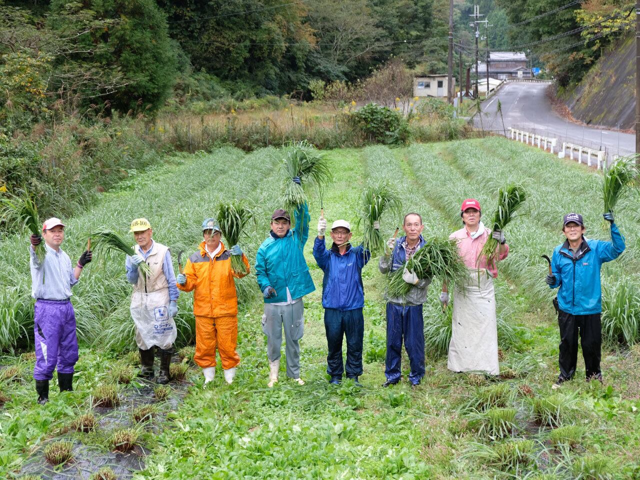 休耕田を活用して、地域のみんなが育てています。