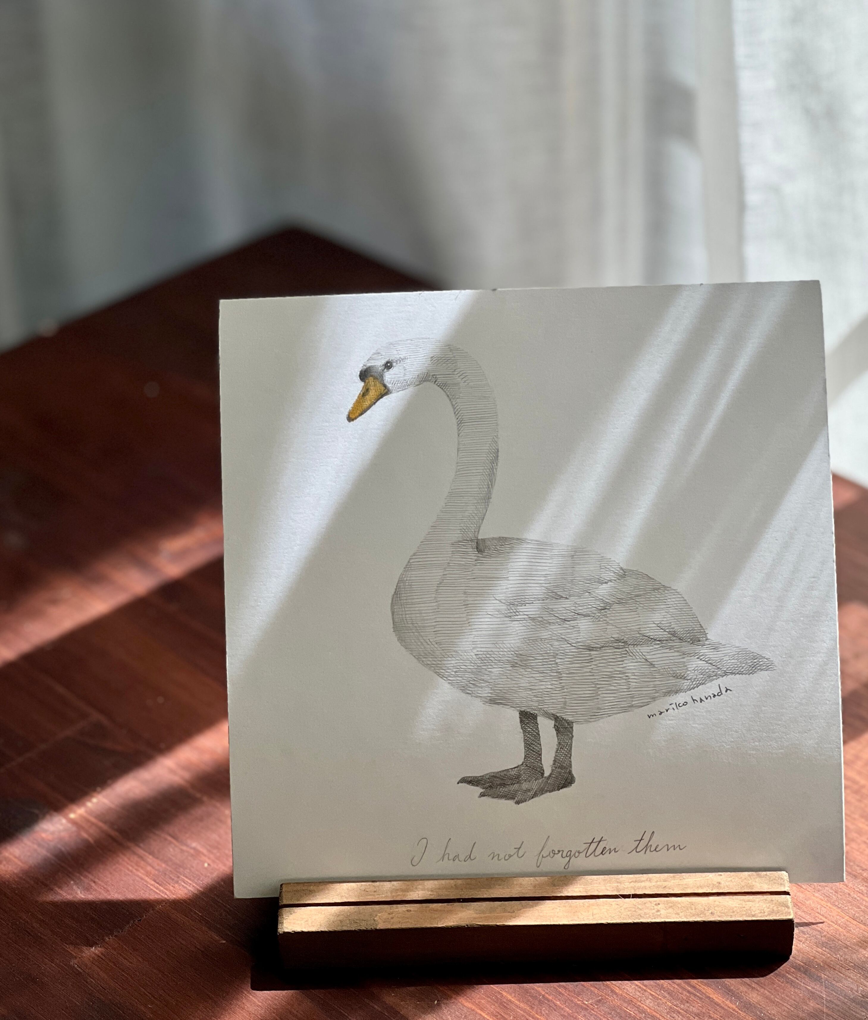 ❷「 I had not forgotten them」