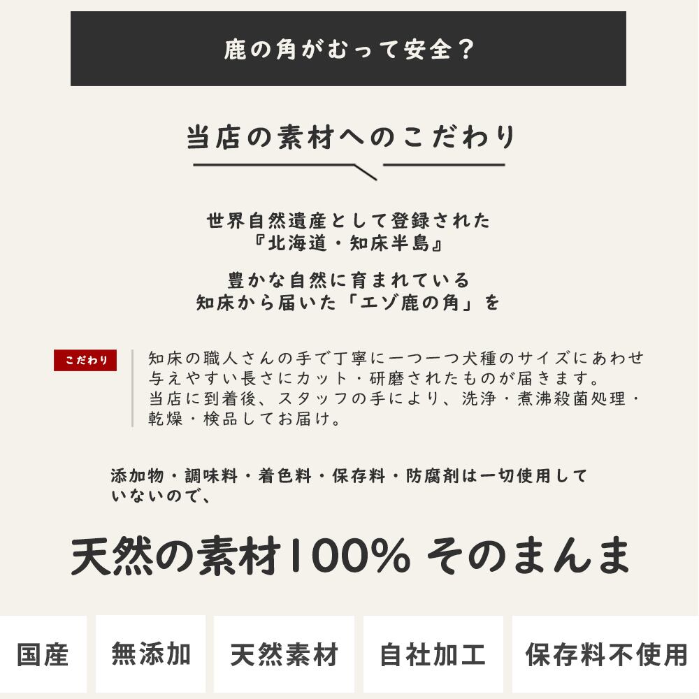 鹿の角って安全？