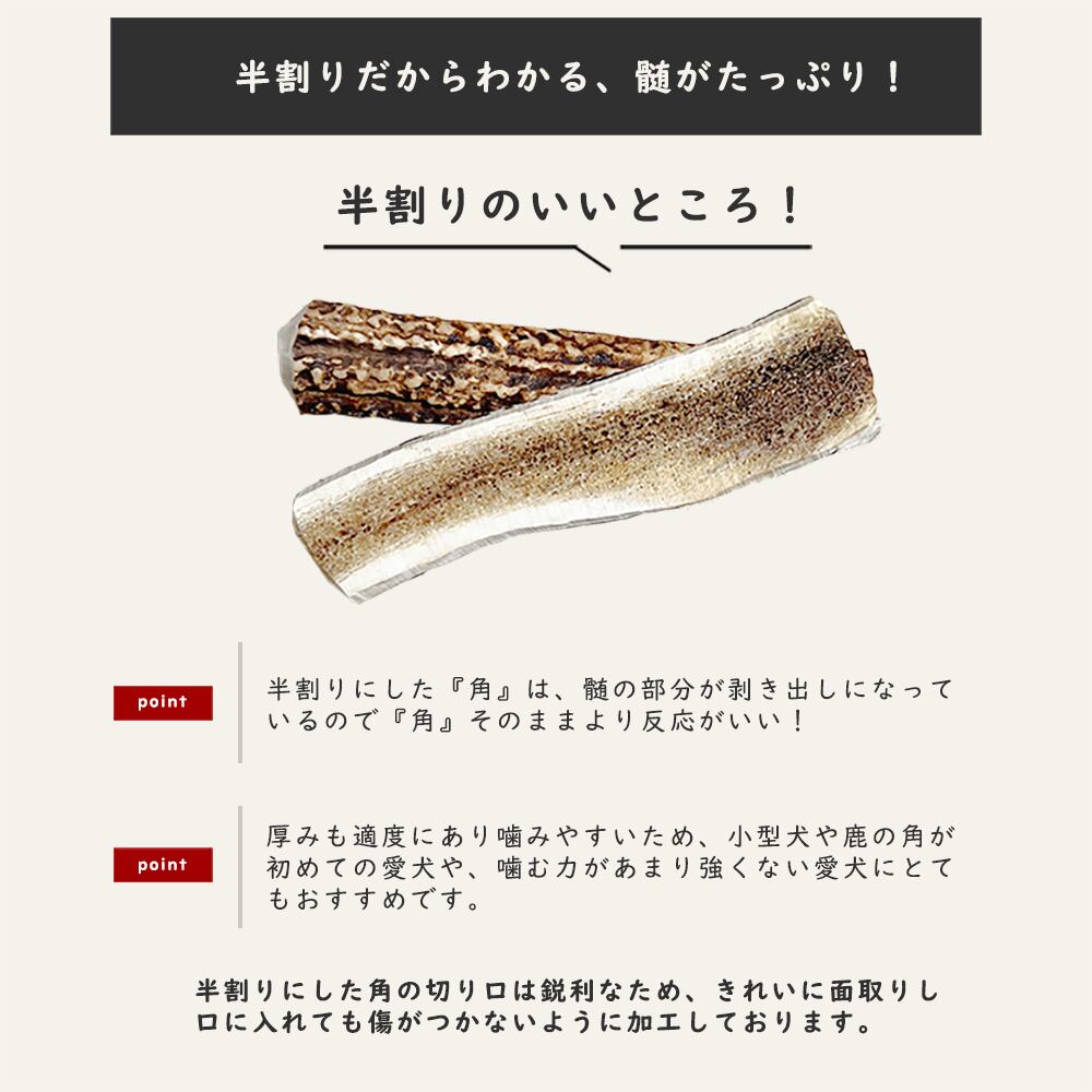 半割りだからわかる、髄がたっぷり！半割りのいいところ！