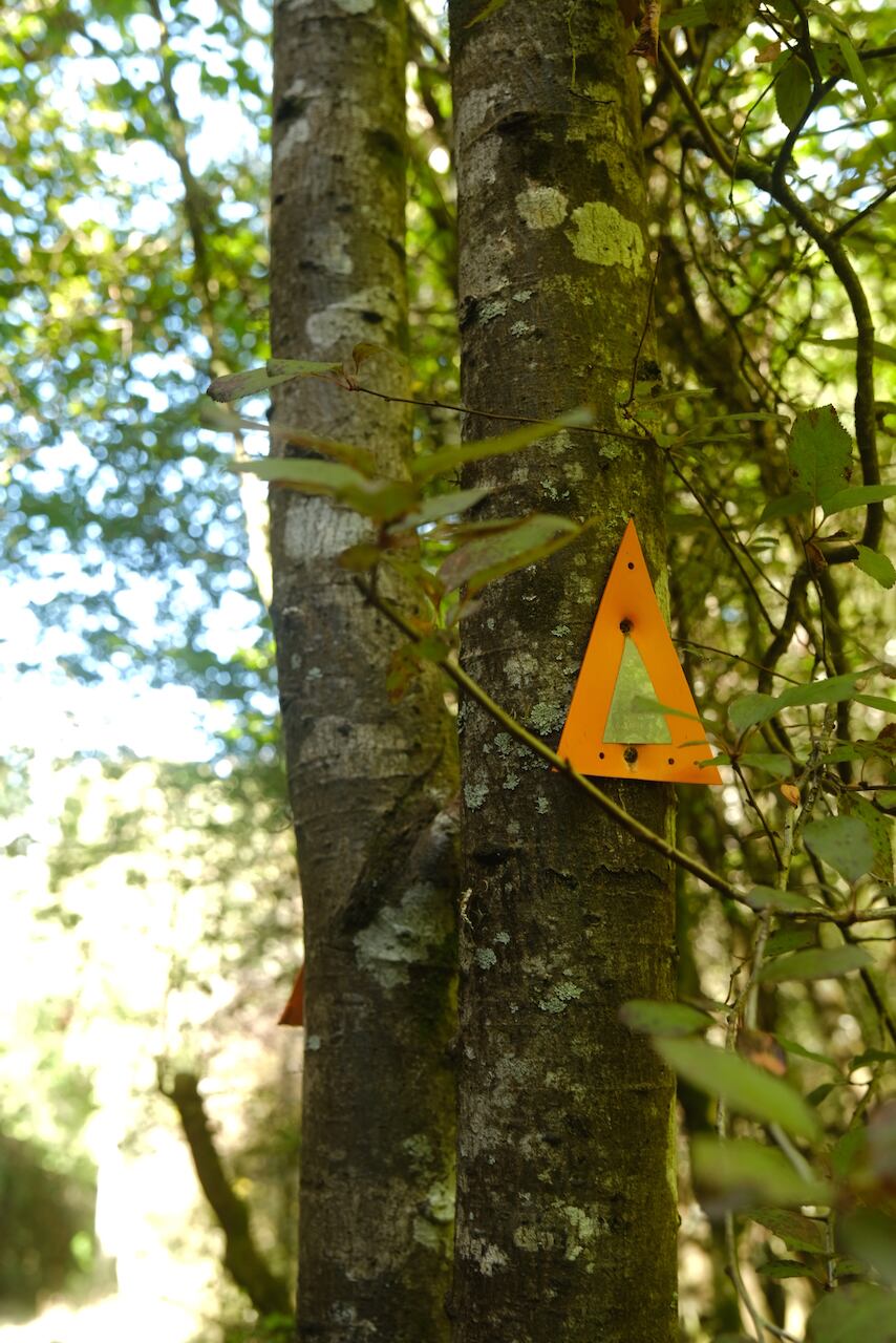 〜New Zealandのトレイル標識〜