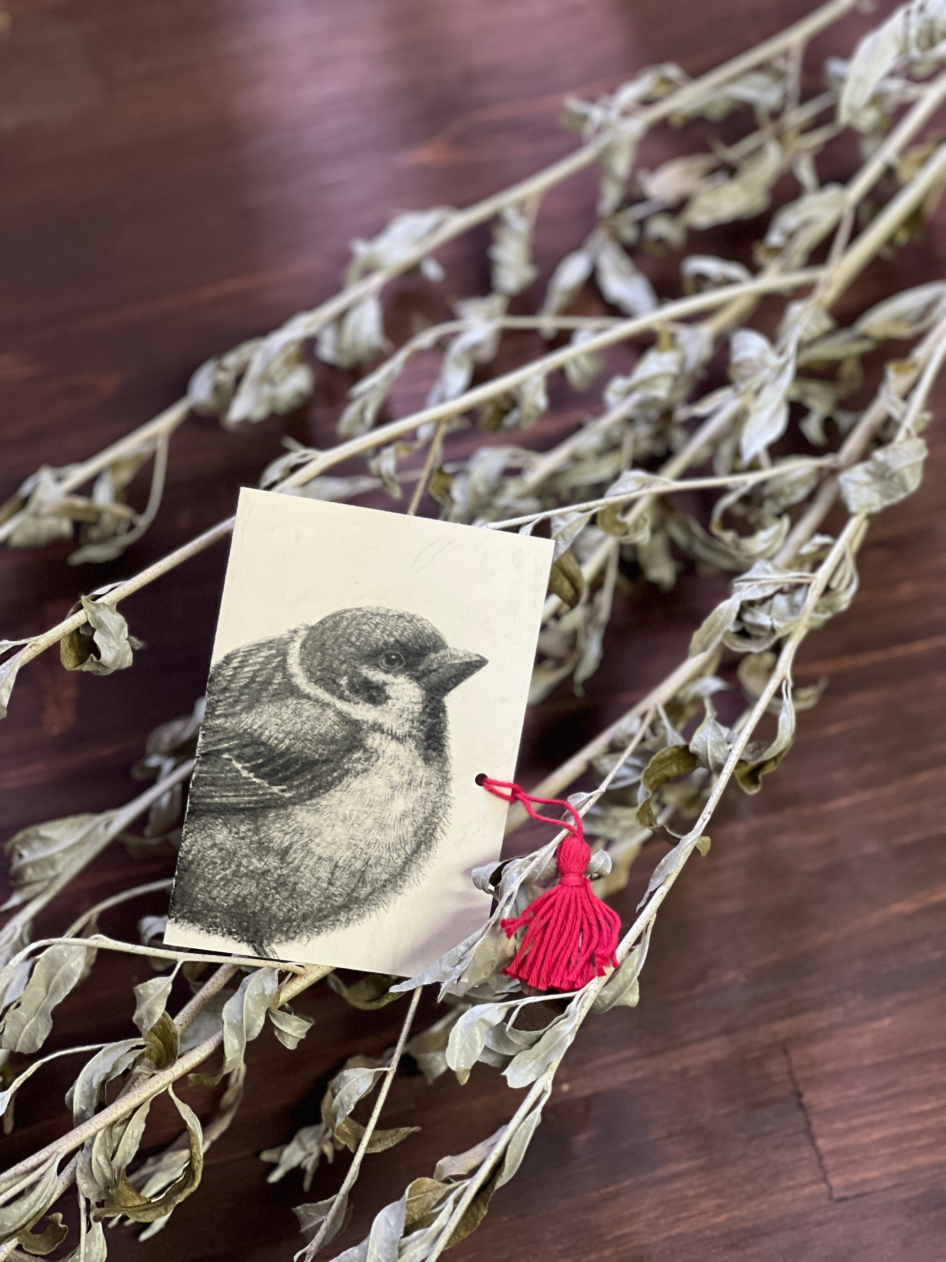 すずめさむいとき