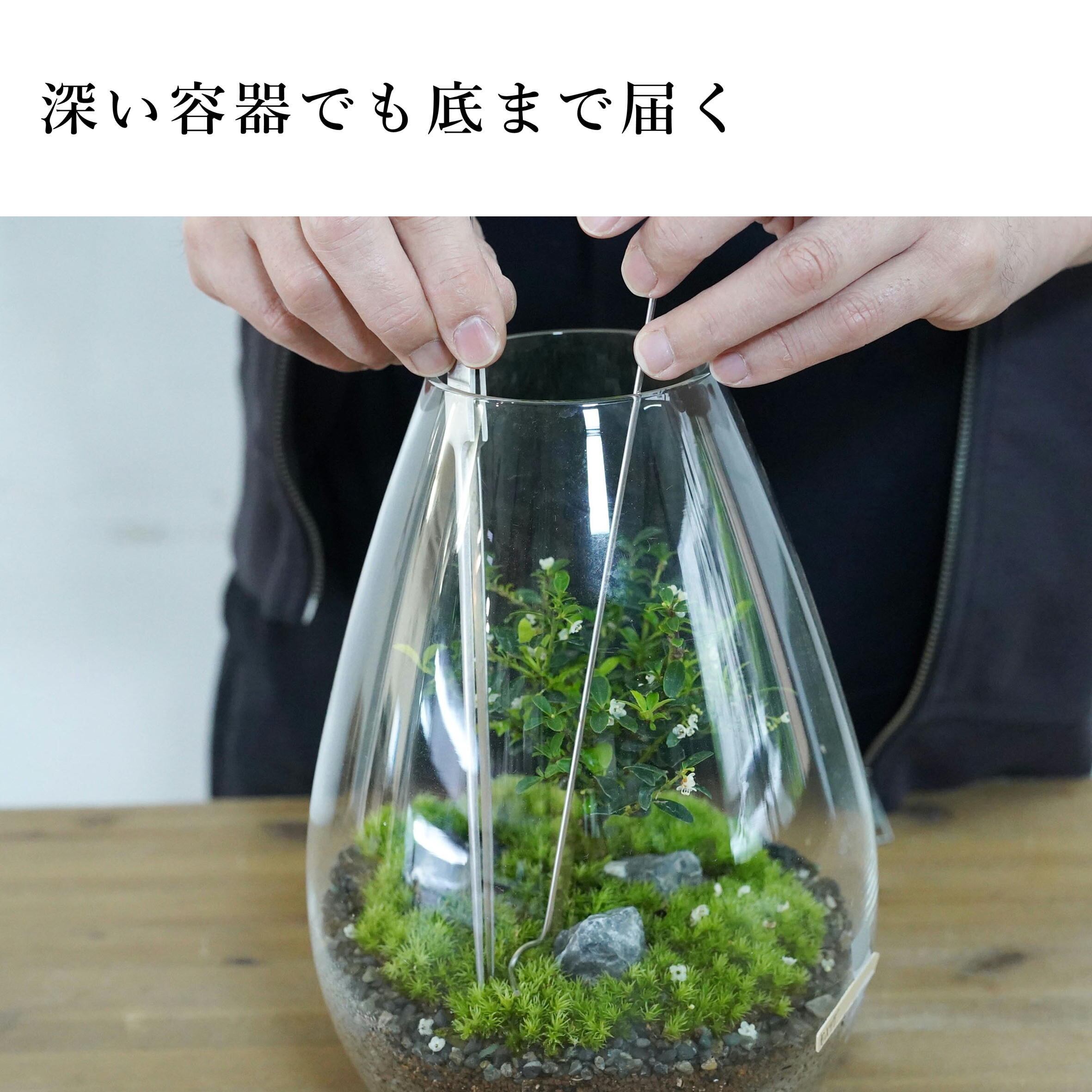 苔テラリウム作製用ツール】ロング押さえ棒◇深い容器の植付けに | 苔
