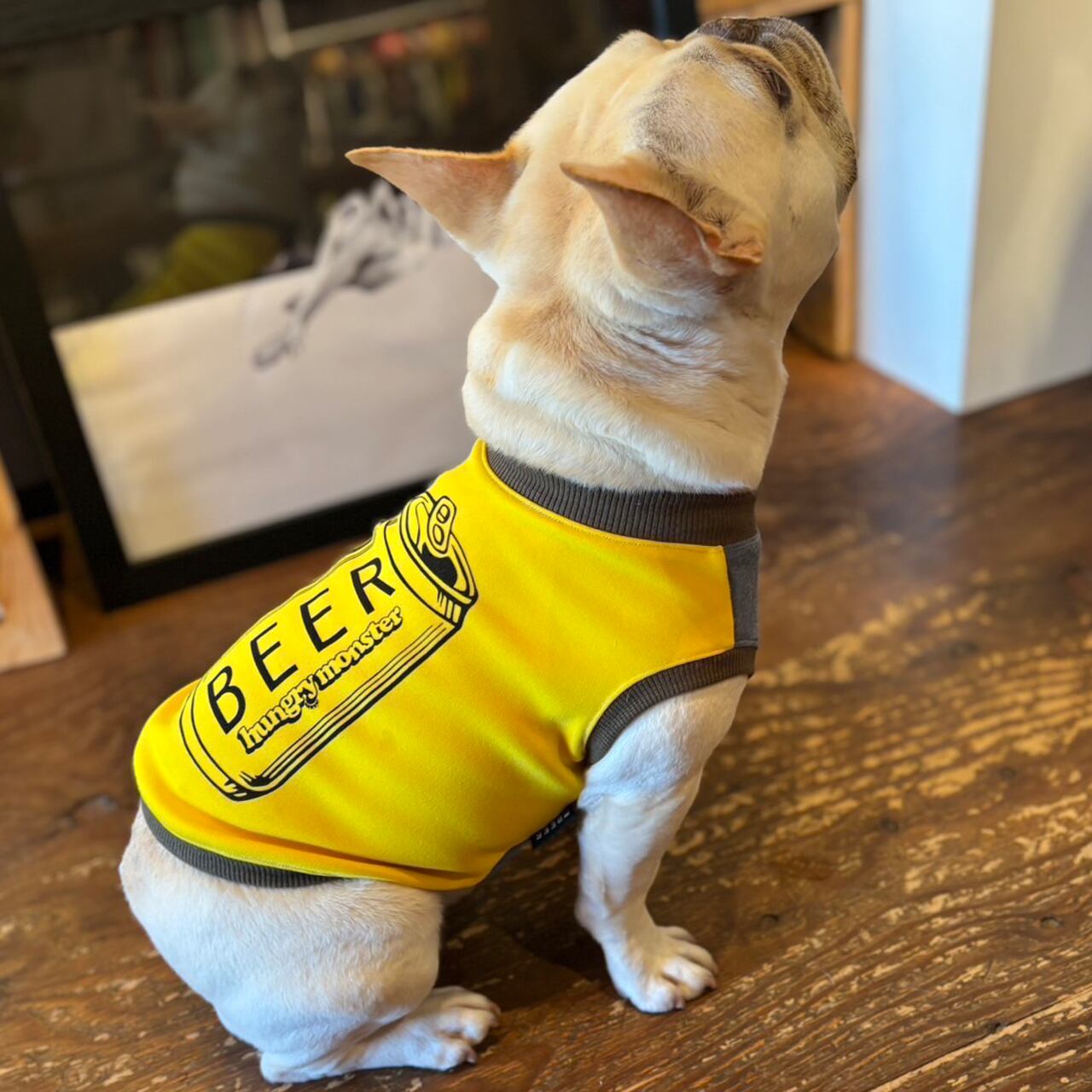 フレブルサイズ