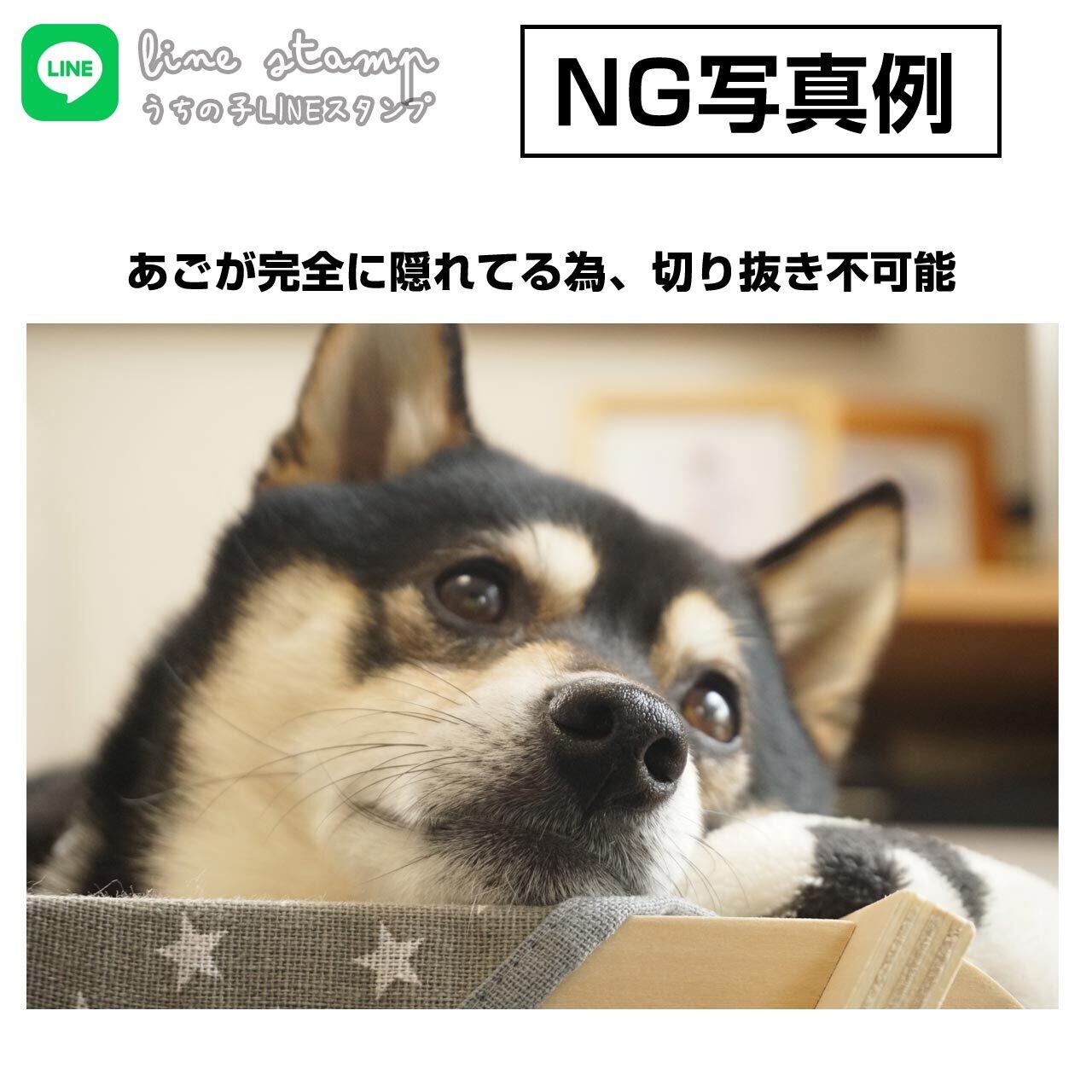 ベッドやクッションなどで顔が隠れている