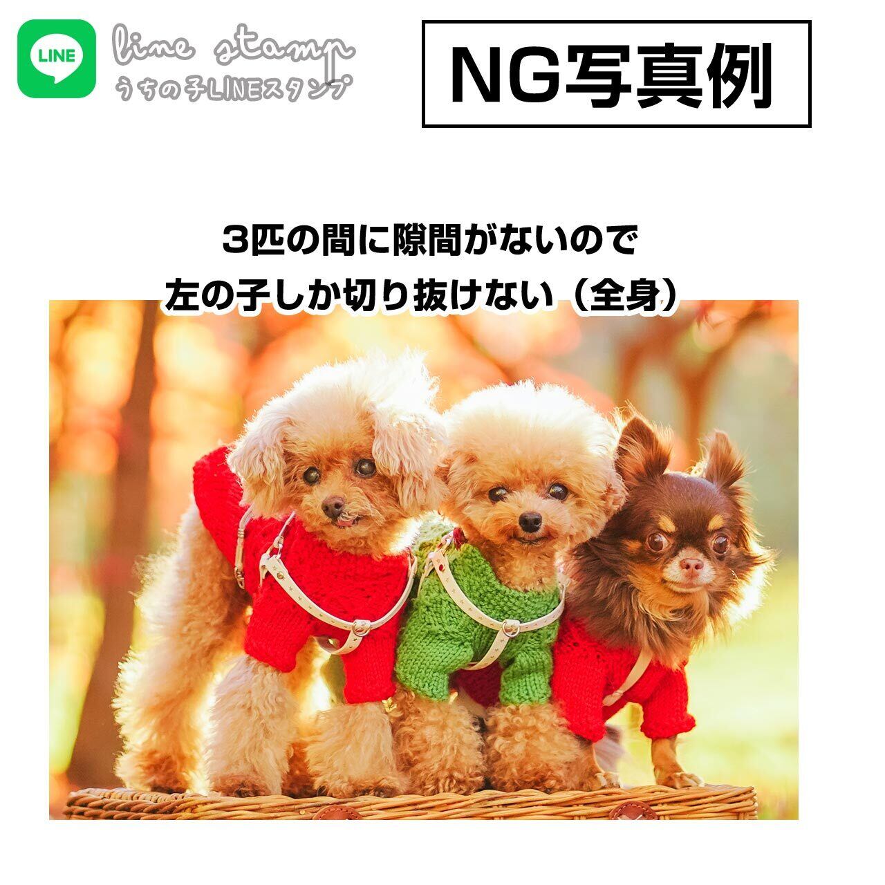 この場合は、3匹の「顔のみ」となります