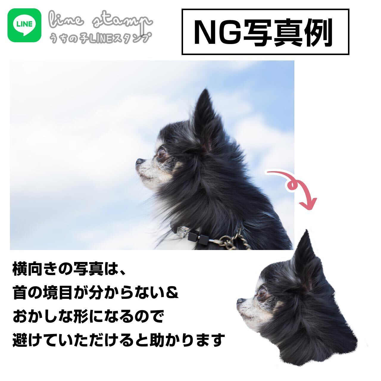 横向きは（ワンちゃんは）特におかしな形になります