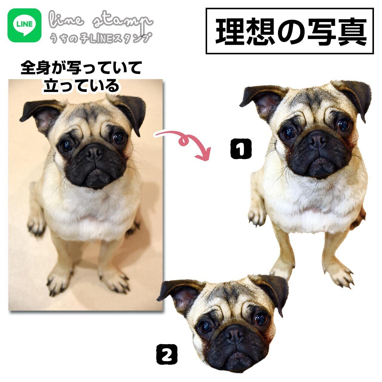 立っている写真は、少し小さい配置となります（全身Ver.）