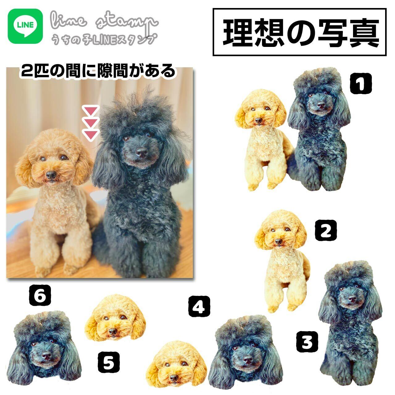 2匹の間に隙間があると、全部で6パターンの画像になります