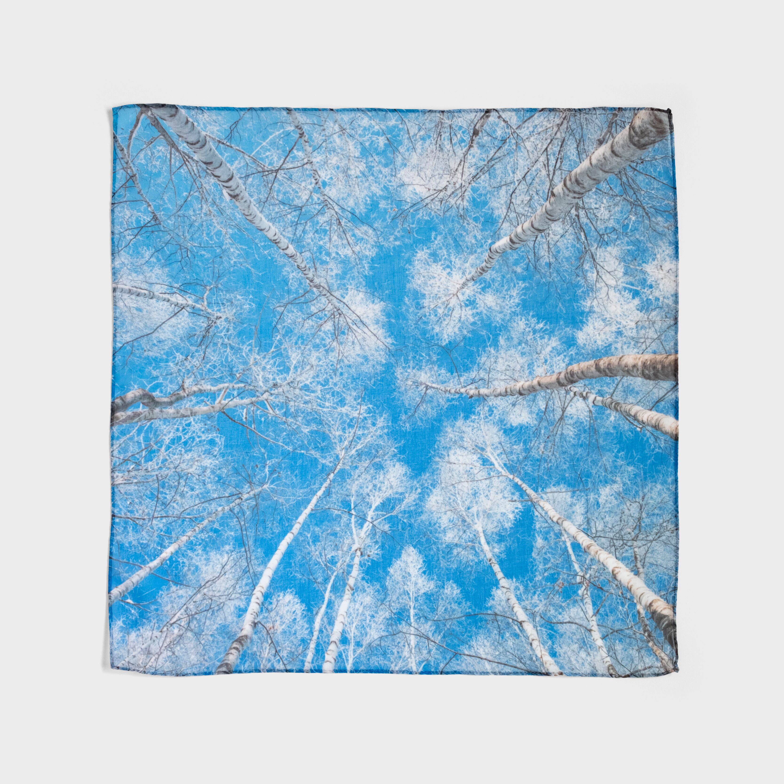 「白い森」 Photo by Kei Maeda