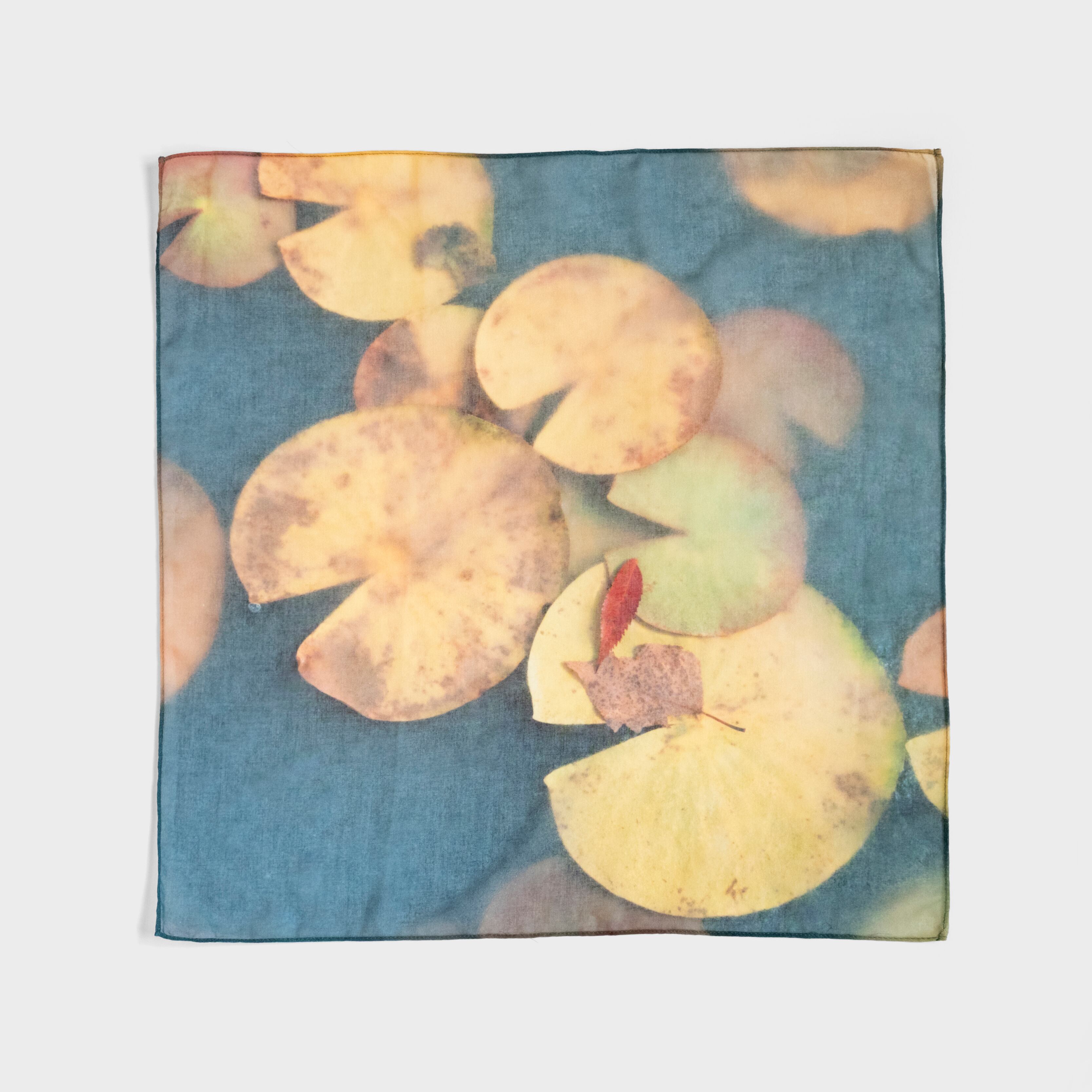 「凍る葉模様」 Photo by Shinzo Maeda