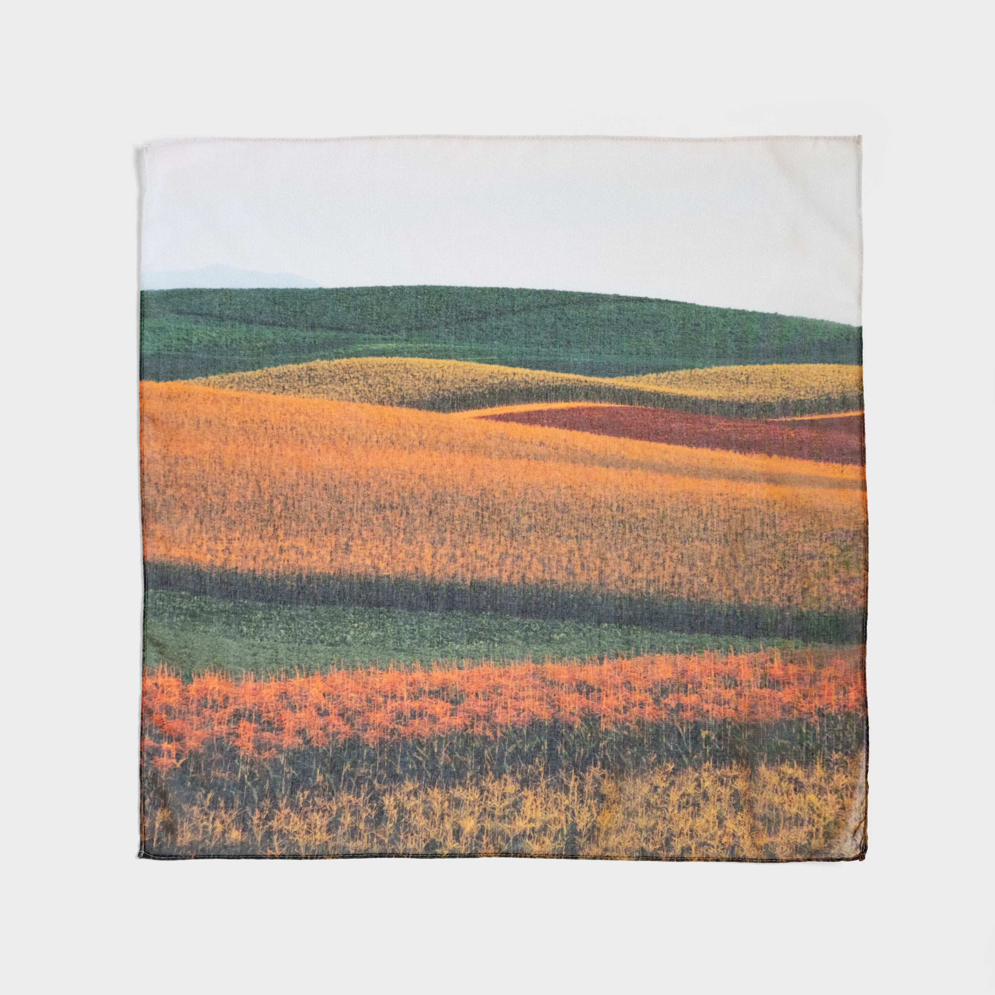 「夕暮れのトウキビ畑」 Photo by Shinzo Maeda