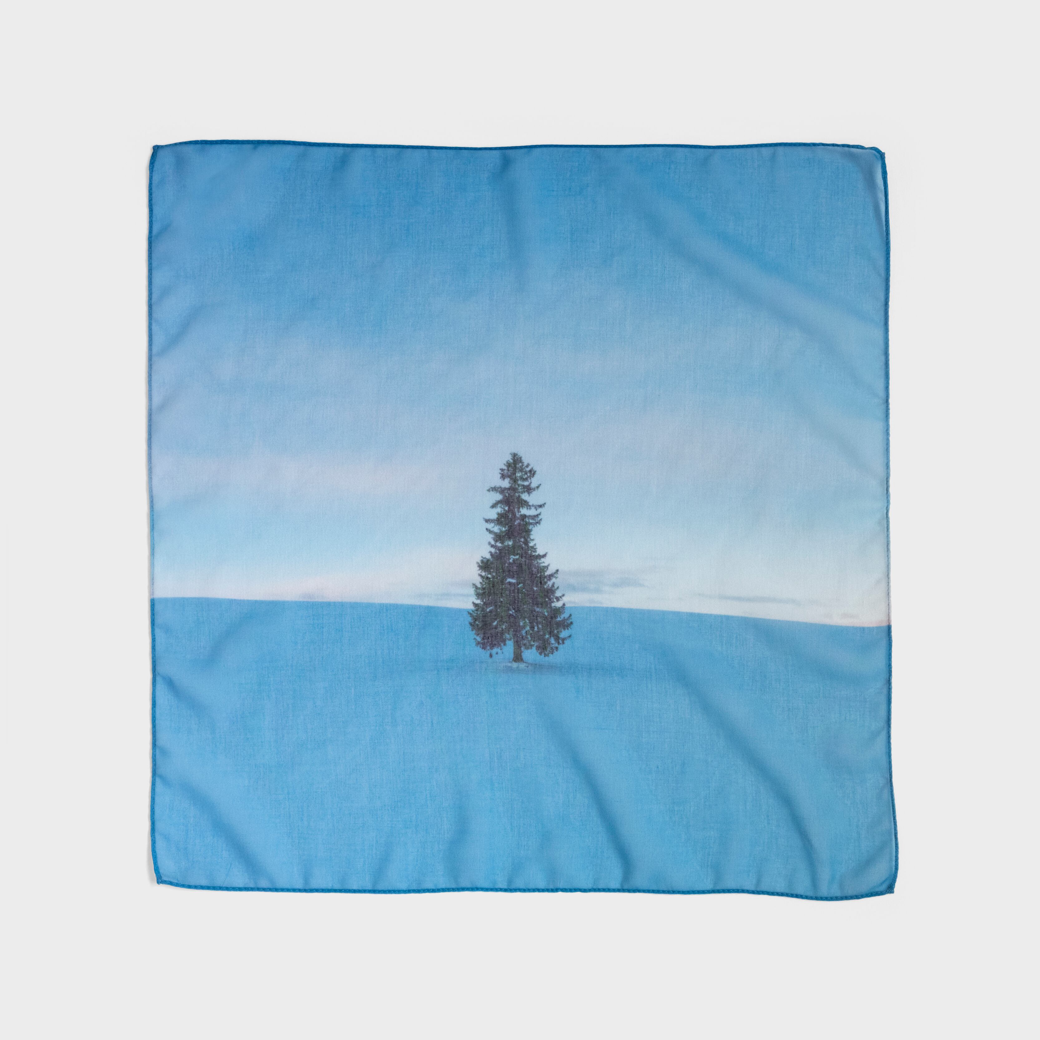 「青いツリー」 Photo by Kei Maeda