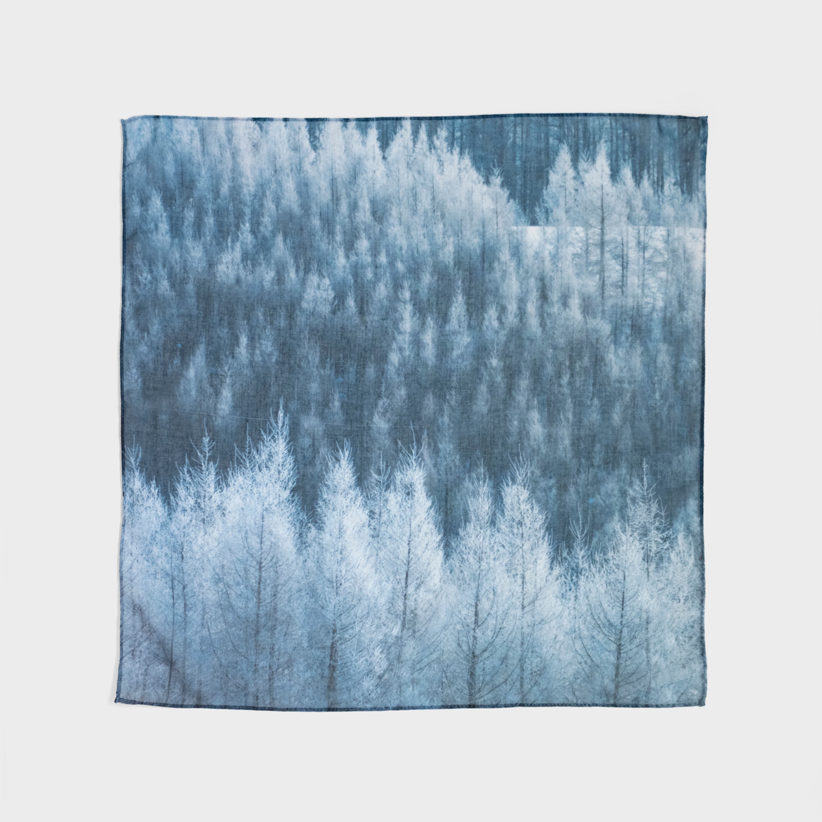 「霧氷の落葉松」 Photo by Shinzo Maeda