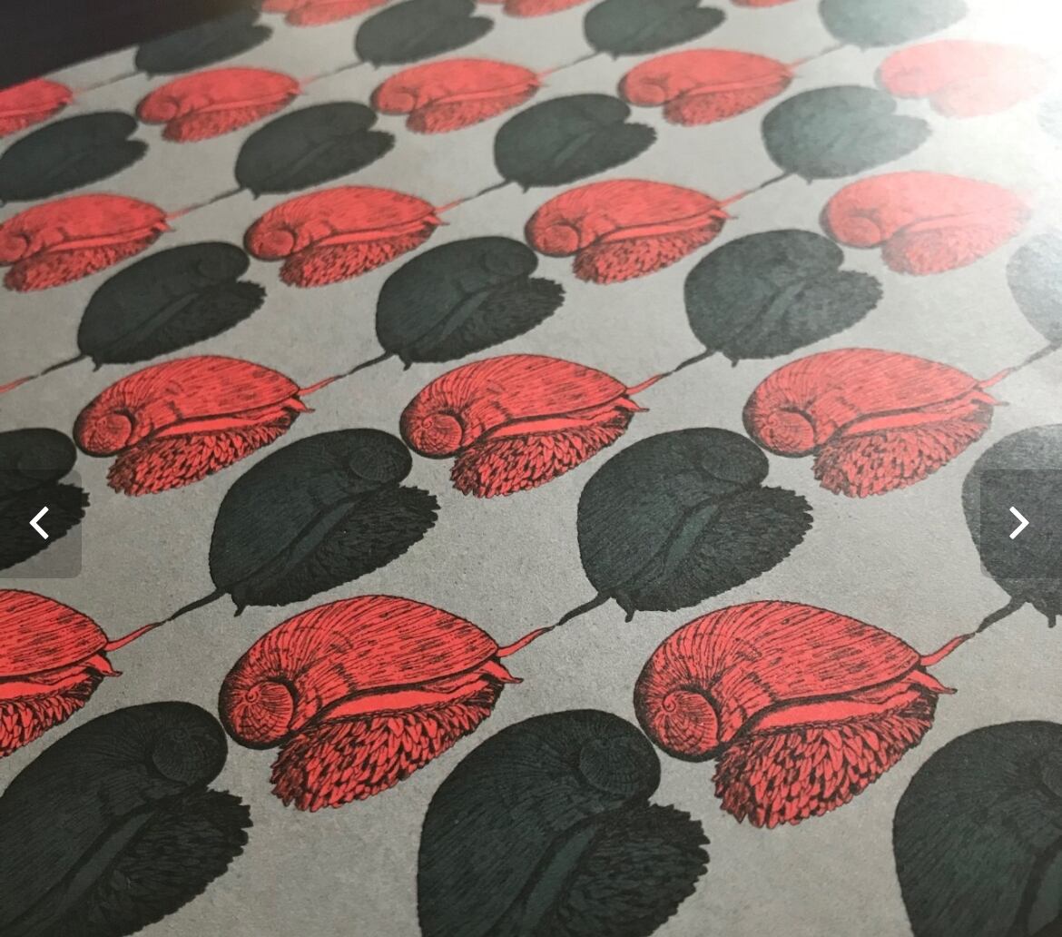 スケーリーフット