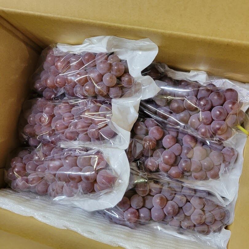 ぶどうは一房一房お包みします。梱包資材は変更になる場合がございます。