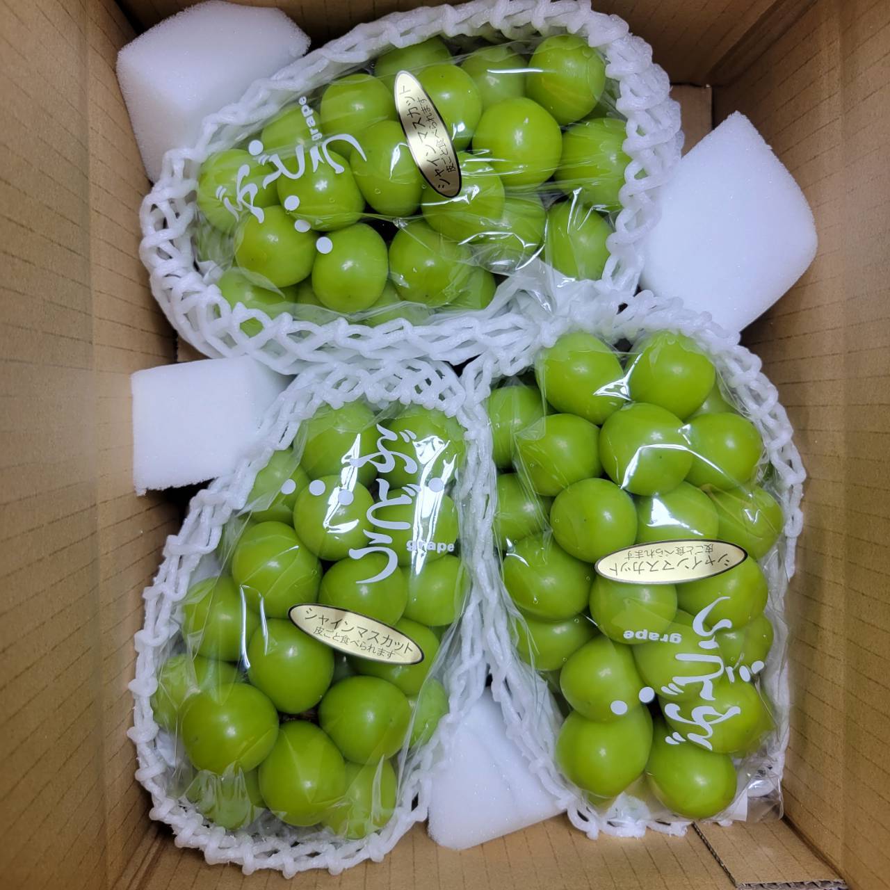 ぶどうは一房一房お包みします。梱包資材は変更になる場合がございます。