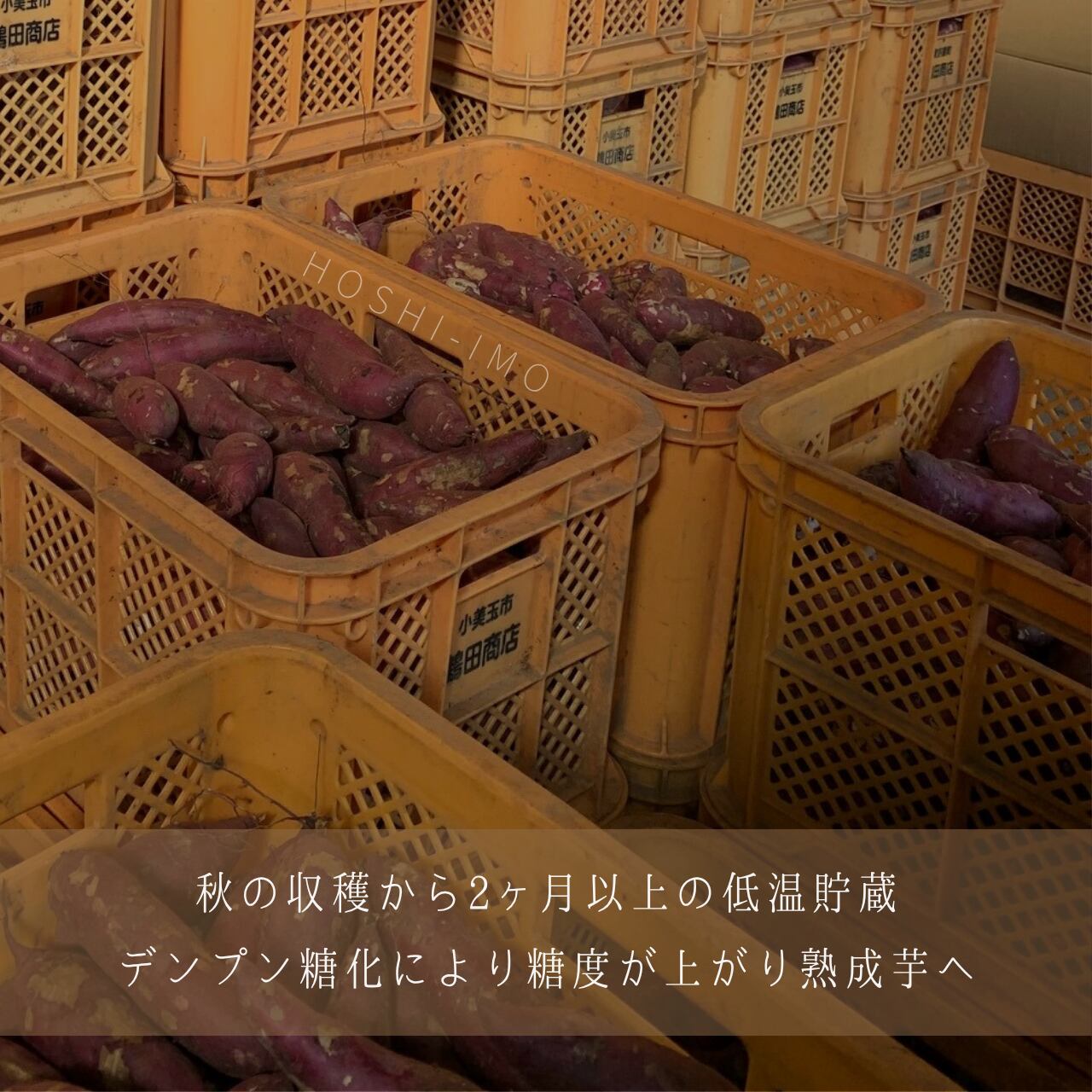 低温熟成したさつまいもを使用