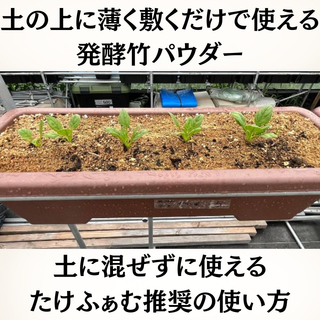 竹パウダー 12kg 国産（山口県岩国産）特殊肥料 土壌改良 家庭菜園 竹