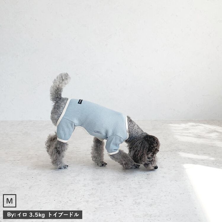 Mサイズ 着用（3.5kg トイプードル）