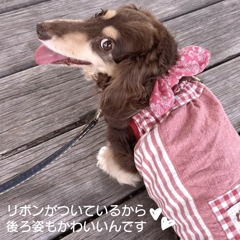 なつめ様 犬用 保冷剤付きネッククーラー 2点 ハンドメイド SS なつめ様 犬用 保冷剤付きネッククーラー 2点 ハンドメイド SS 犬