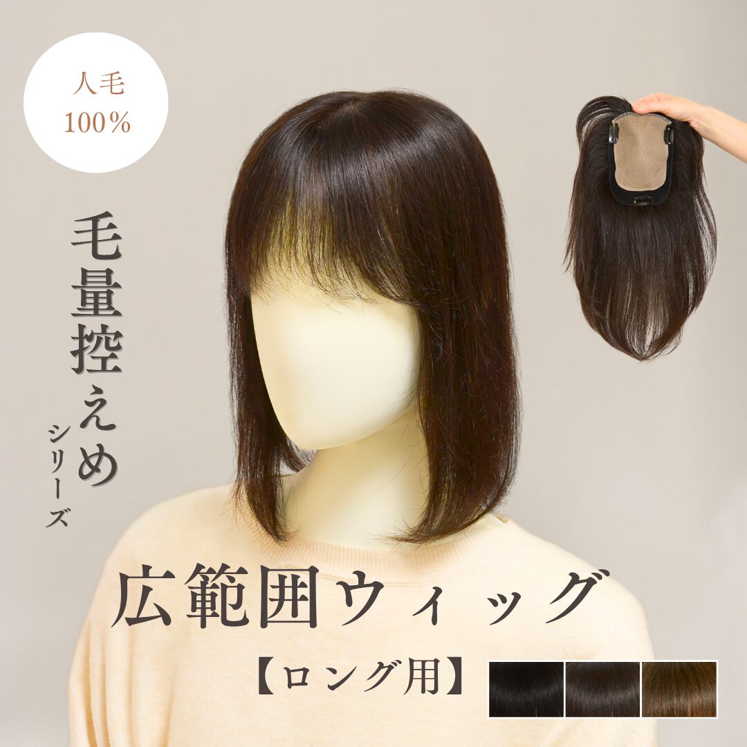 人毛100％ 毛量控えめシリーズ 広範囲カバーウィッグ【12×16cm】｜ロングヘア用