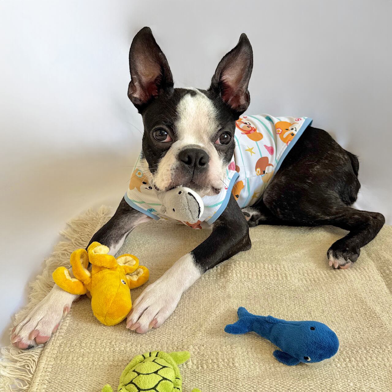 サラッとした生地で涼しい✨