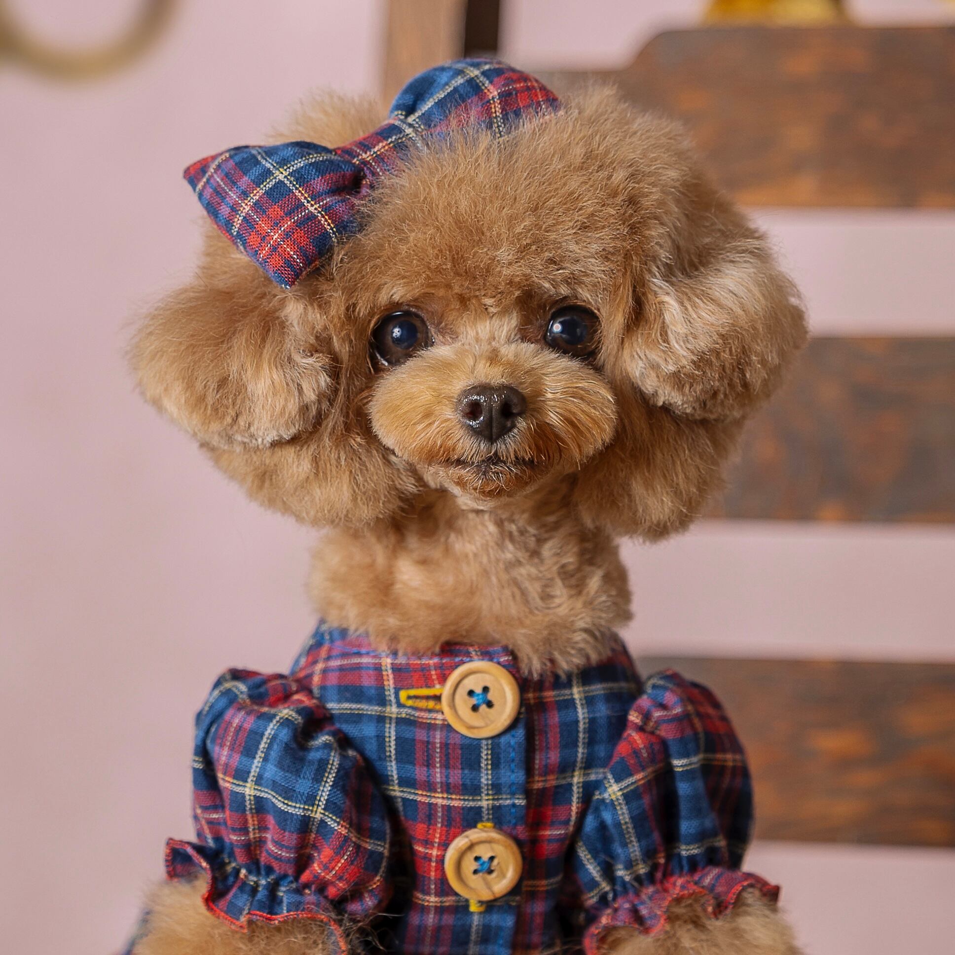 バレッタでコーディネート