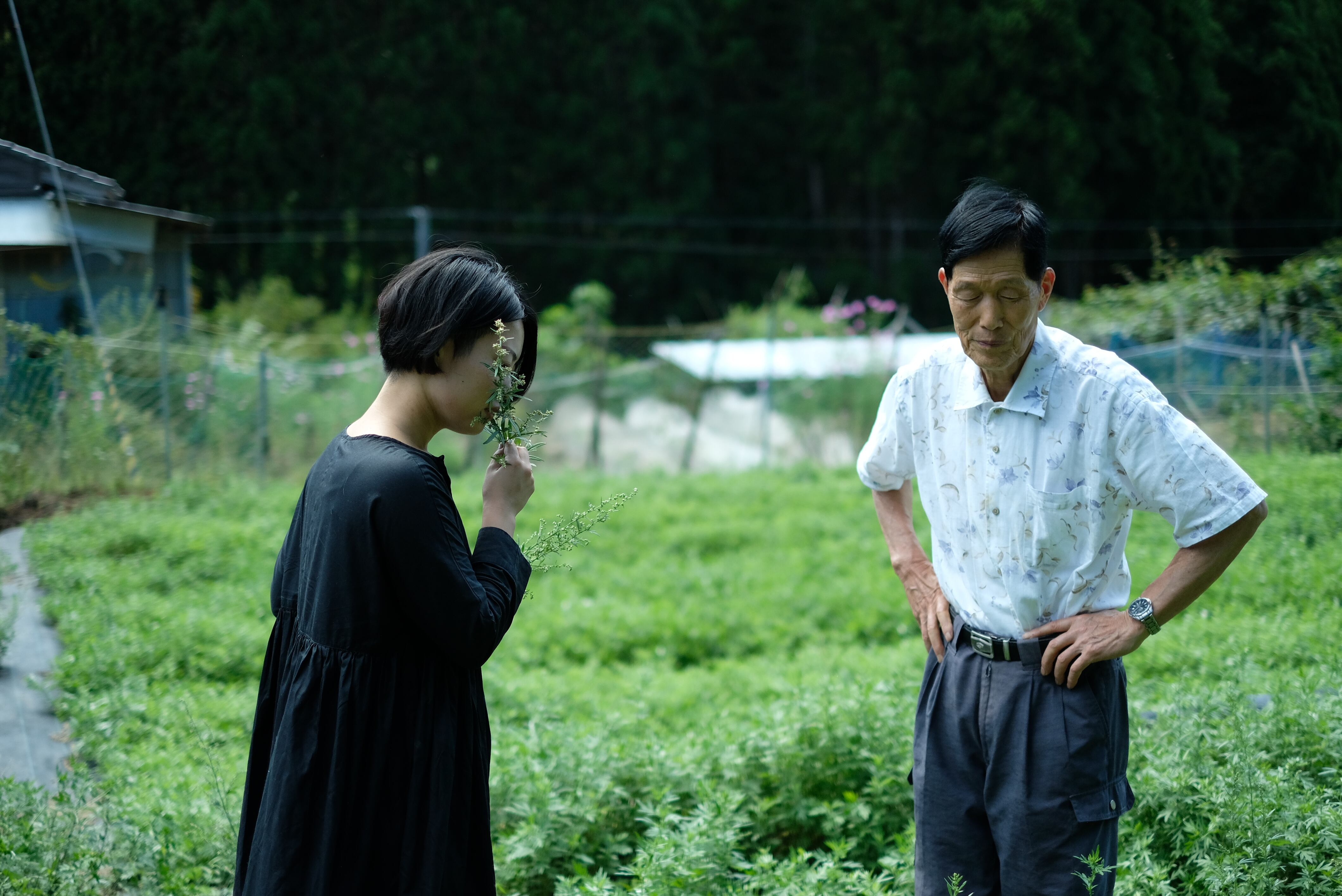 深吉野よもぎ加工組合の岡本さん。