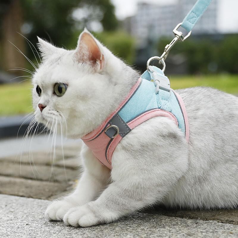 ピンク