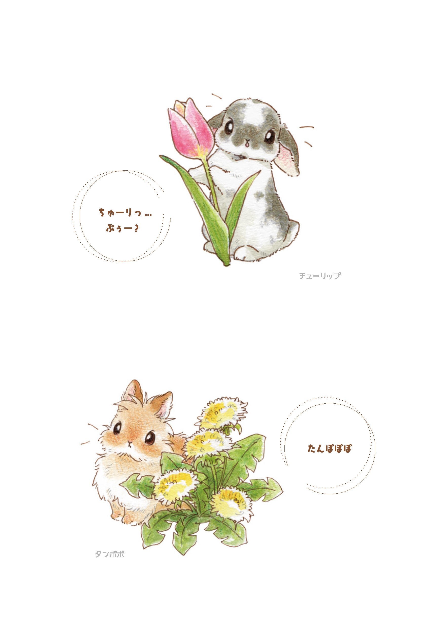 img_25a9016649e101b068c9a8cd60