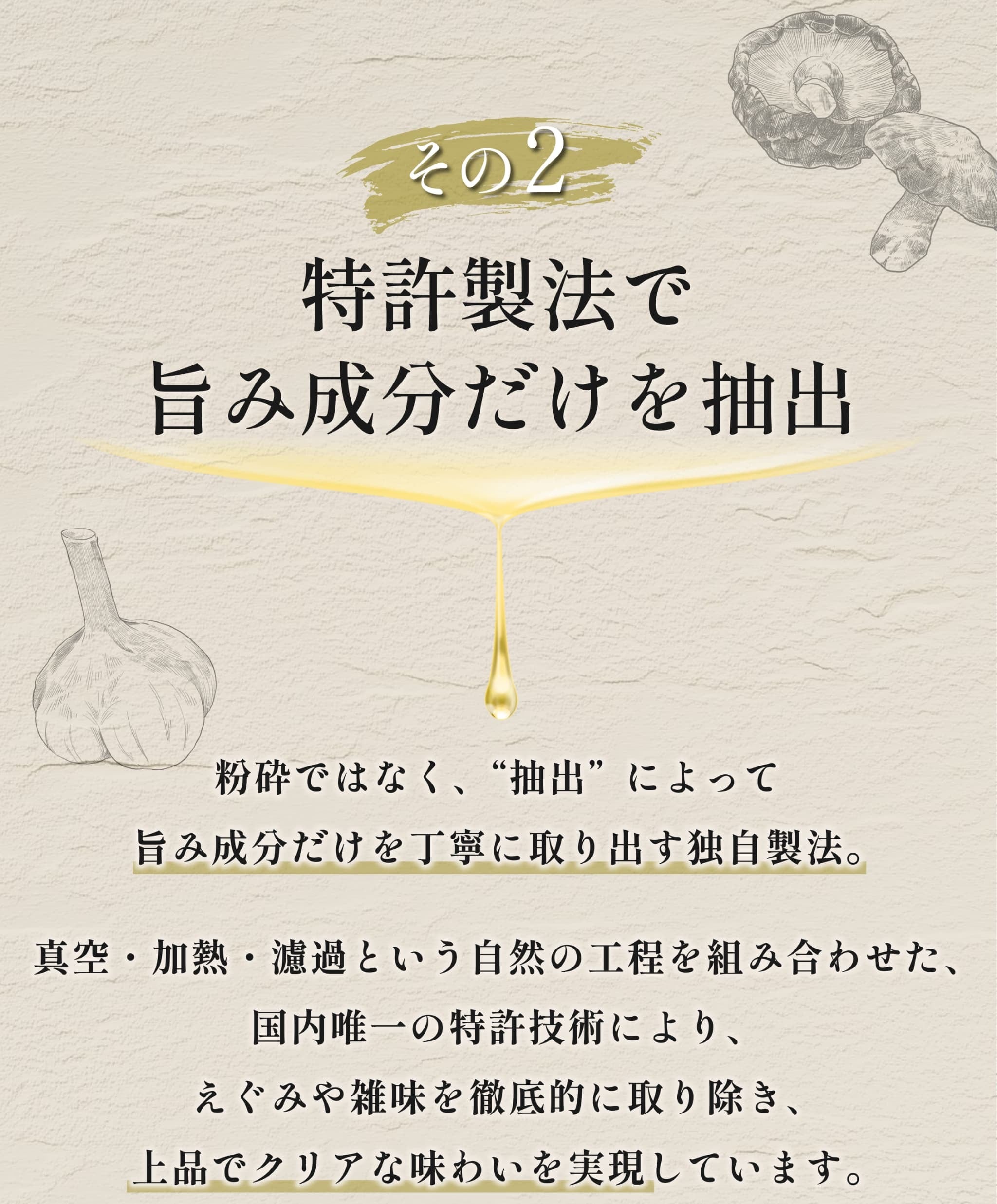 生UMAMI | UMAMI