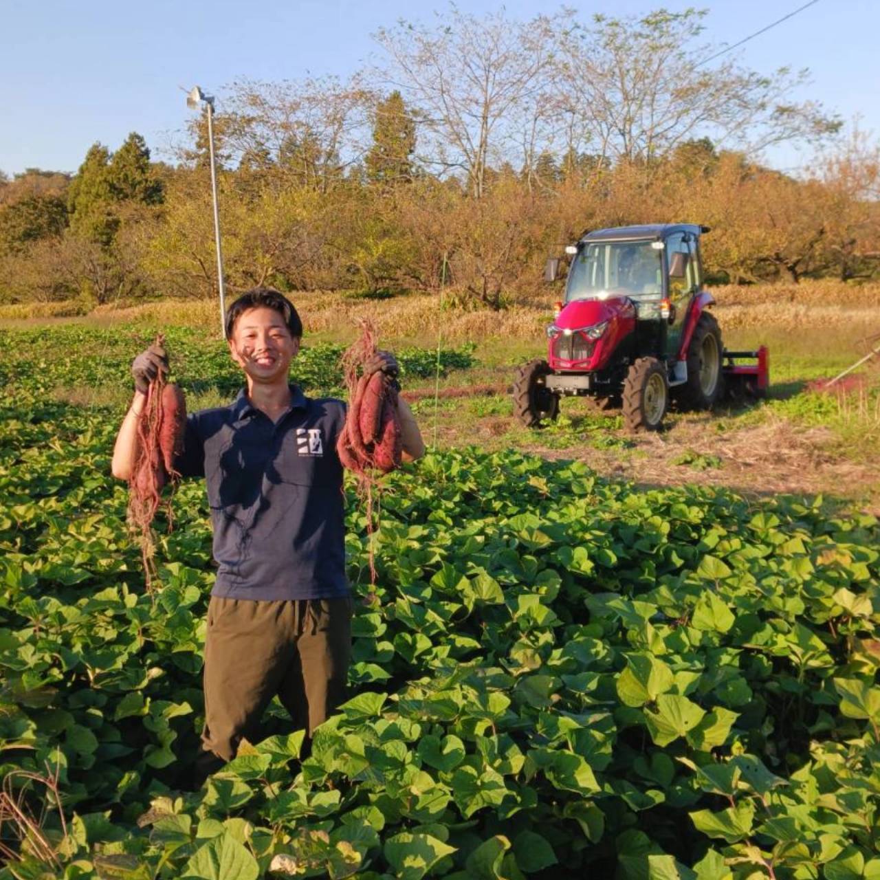 今年は豊作でした