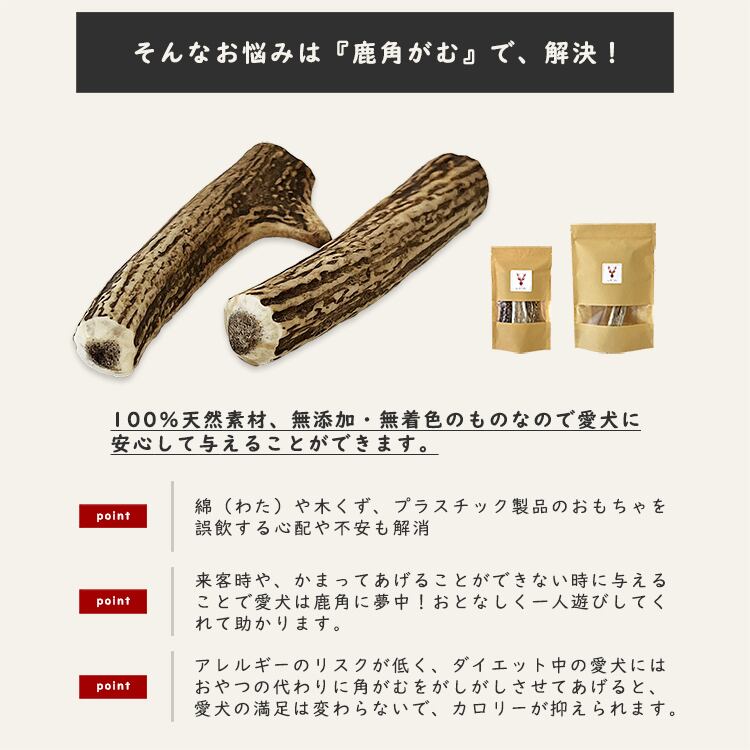 そんなお悩みは『鹿の角』で、解決！